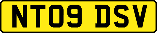 NT09DSV