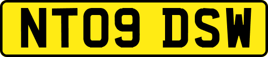 NT09DSW