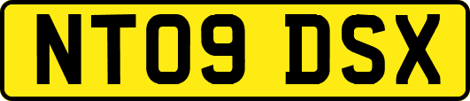 NT09DSX
