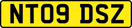 NT09DSZ