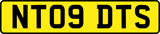 NT09DTS