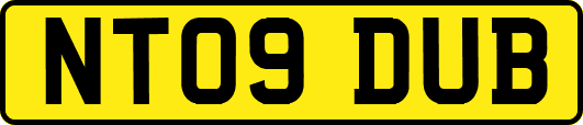 NT09DUB