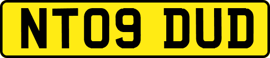 NT09DUD