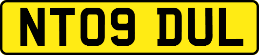 NT09DUL
