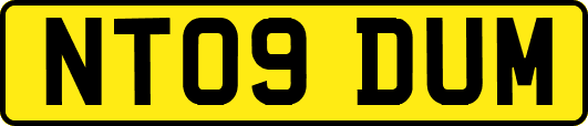 NT09DUM