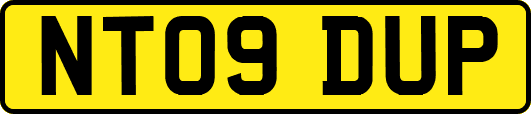 NT09DUP