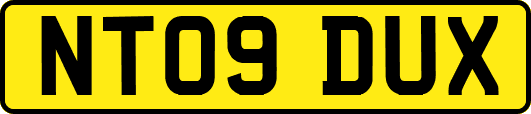 NT09DUX