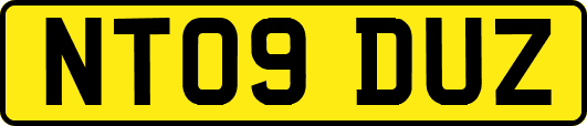 NT09DUZ