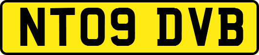 NT09DVB