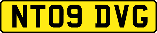 NT09DVG