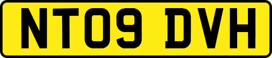 NT09DVH