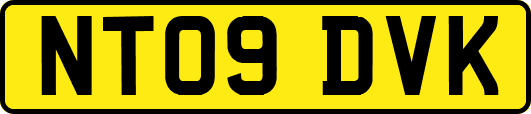 NT09DVK