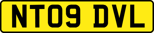NT09DVL