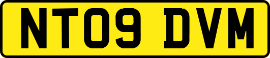 NT09DVM
