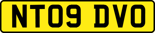 NT09DVO