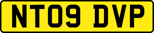 NT09DVP