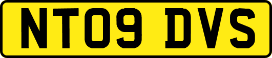 NT09DVS