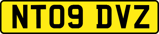 NT09DVZ