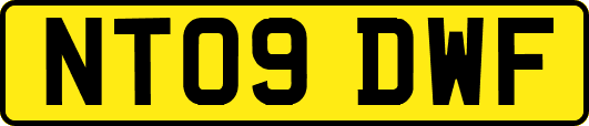 NT09DWF