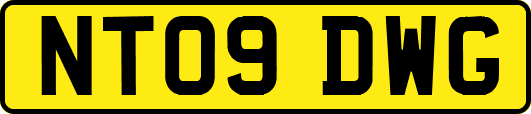 NT09DWG