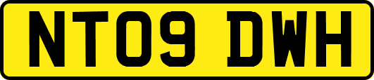 NT09DWH