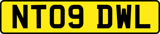 NT09DWL