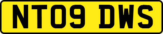 NT09DWS