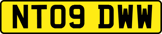 NT09DWW