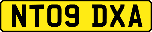 NT09DXA