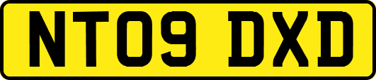 NT09DXD