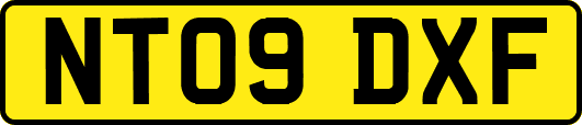 NT09DXF