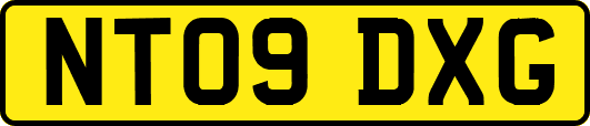 NT09DXG