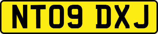 NT09DXJ