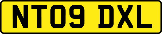 NT09DXL