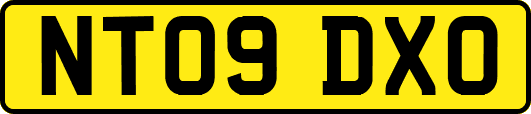 NT09DXO