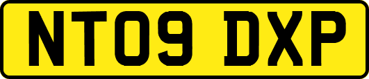 NT09DXP
