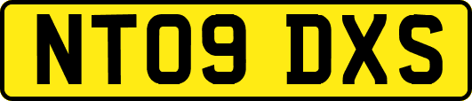 NT09DXS