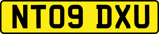NT09DXU