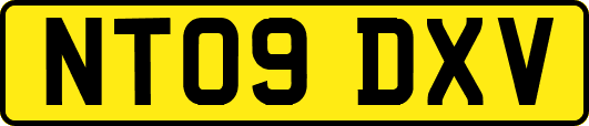 NT09DXV