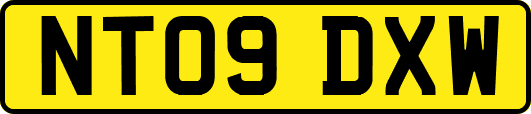 NT09DXW