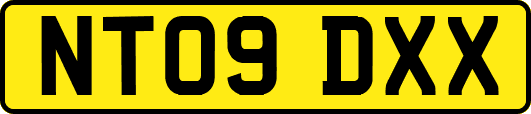 NT09DXX