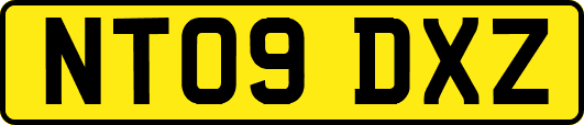 NT09DXZ
