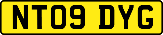 NT09DYG