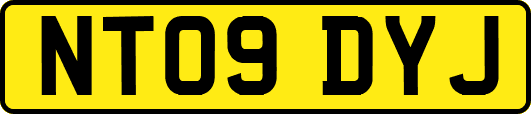 NT09DYJ