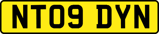 NT09DYN