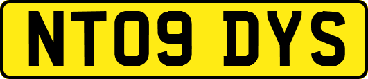 NT09DYS