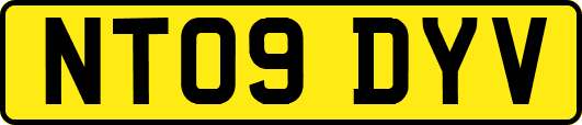 NT09DYV