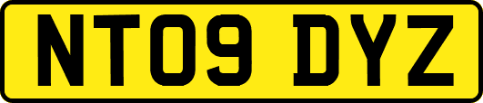NT09DYZ