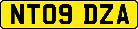 NT09DZA