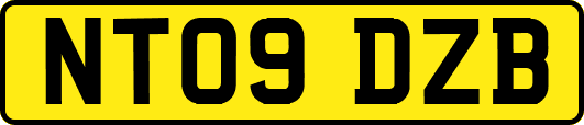 NT09DZB